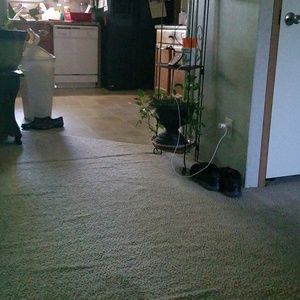 Meet your Posher, Gina